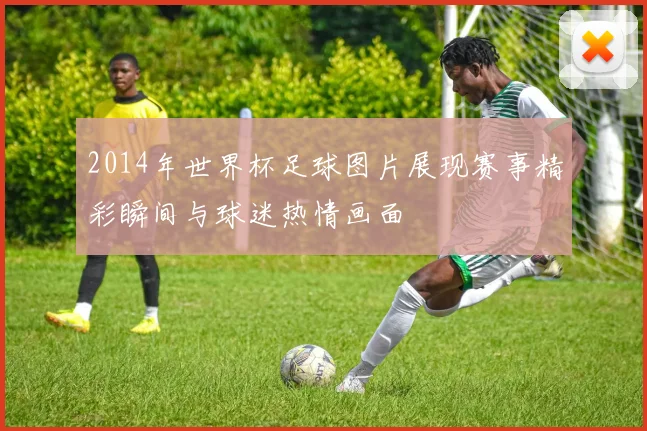 2014年世界杯足球图片展现赛事精彩瞬间与球迷热情画面