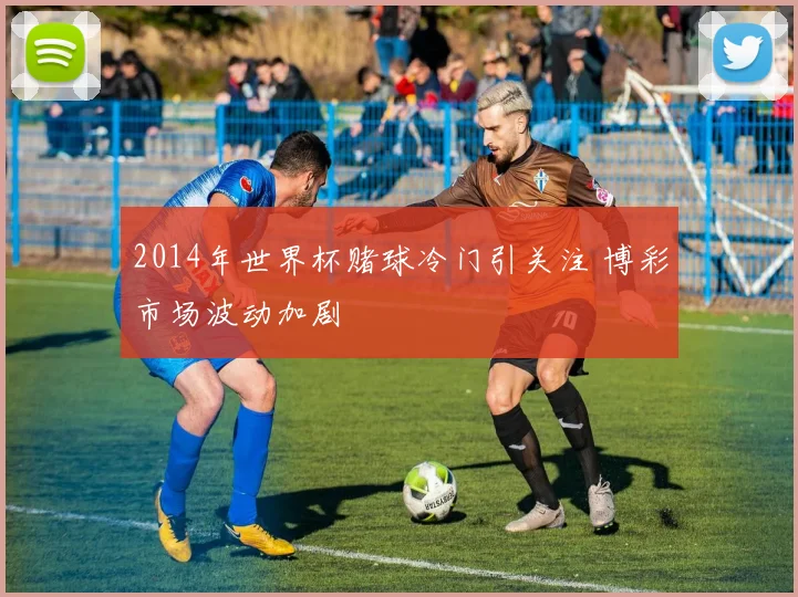 2014年世界杯赌球冷门引关注 博彩市场波动加剧