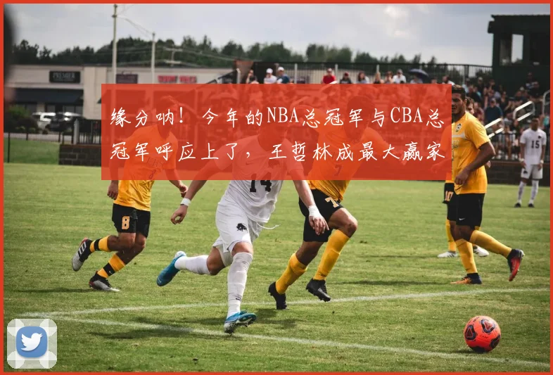 缘分呐!今年的NBA总冠军与CBA总冠军呼应上了,王哲林成最大赢家