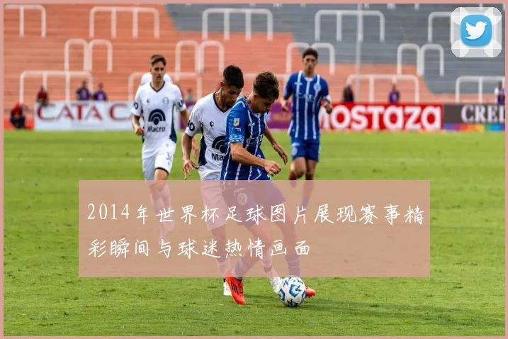 2014年世界杯足球图片展现赛事精彩瞬间与球迷热情画面